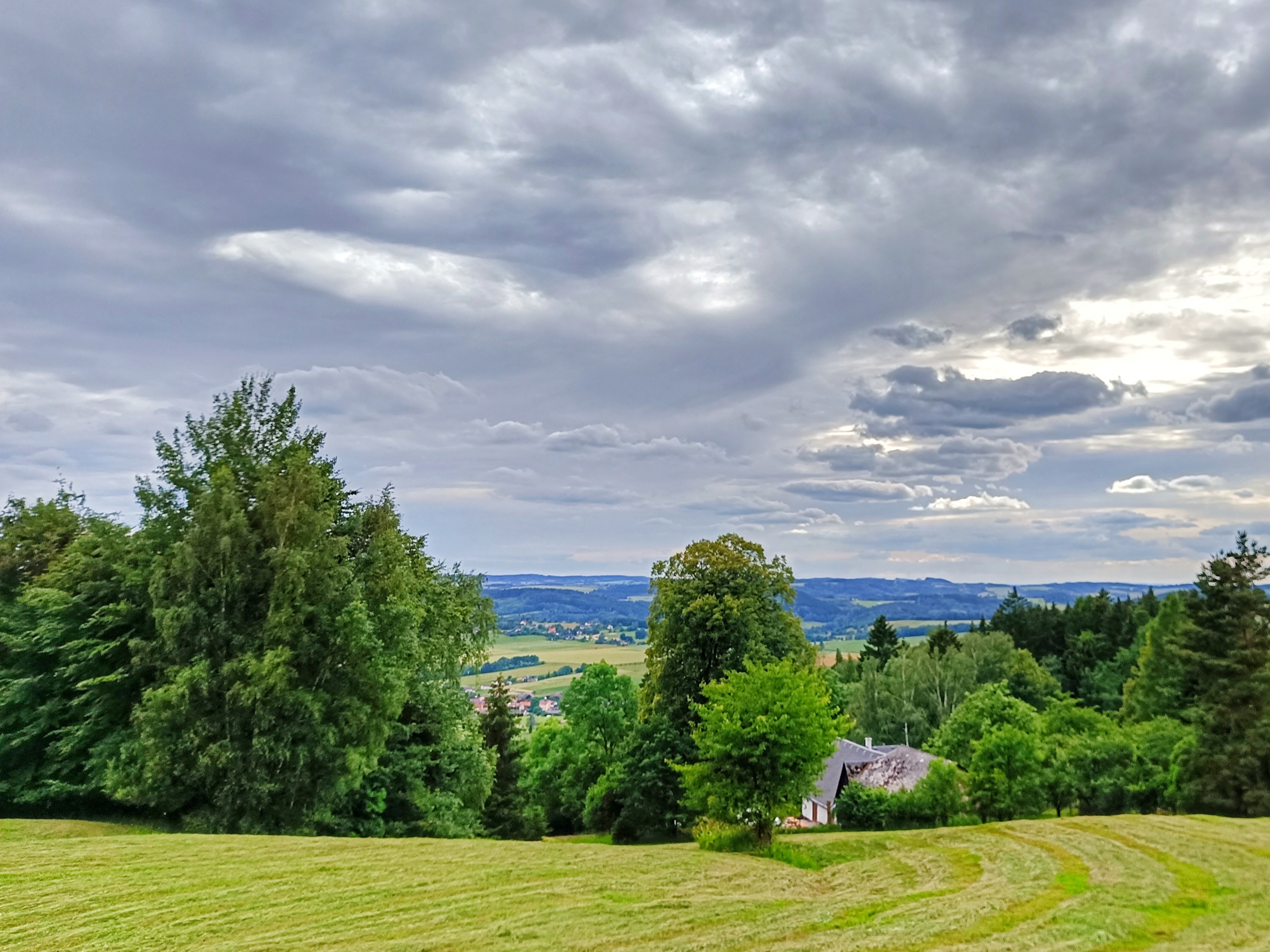 Blick auf die Wiese und Wälder in der Umgebung des Ferienhauses