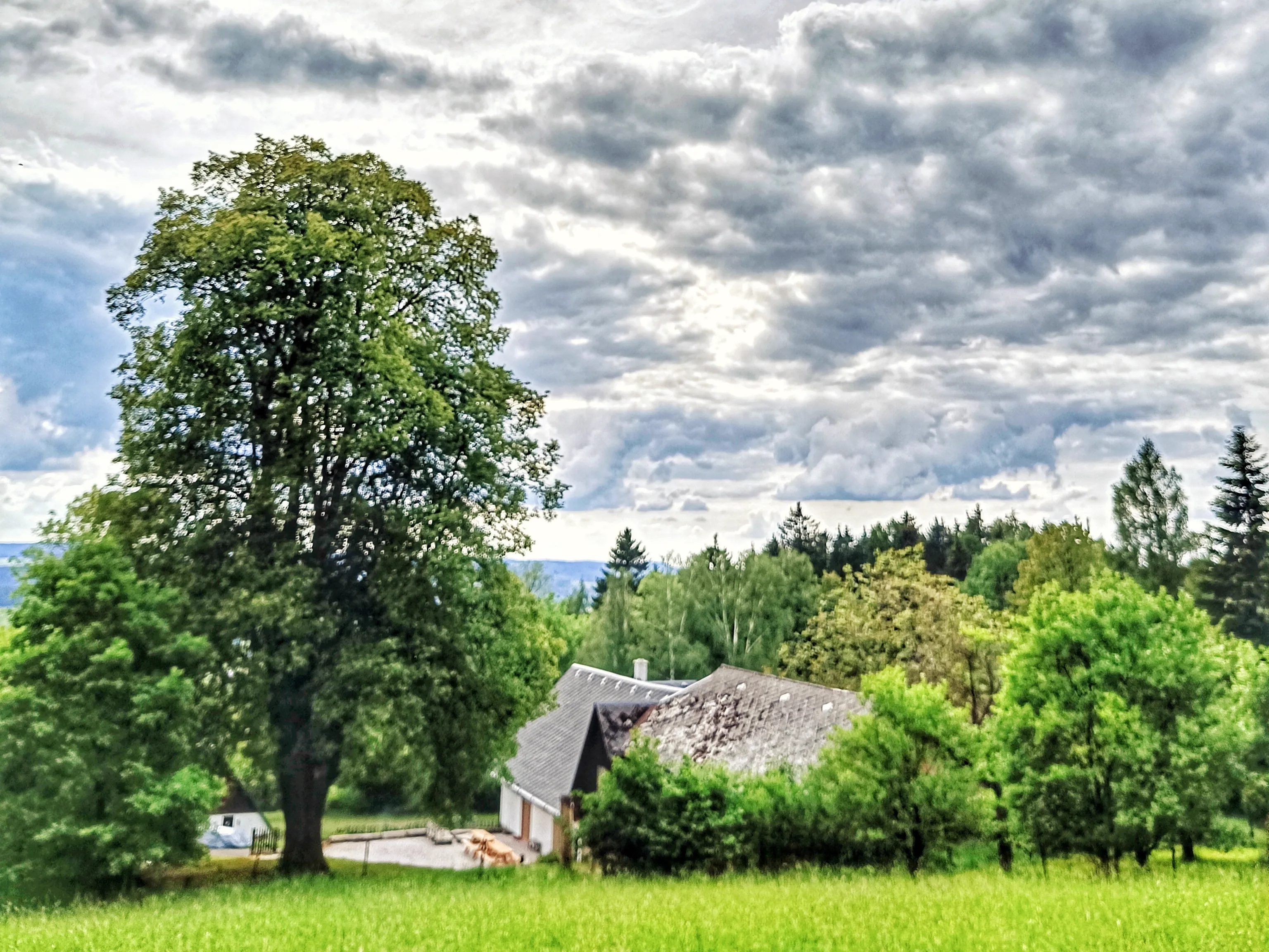Chaloupka — pohled na zahradu